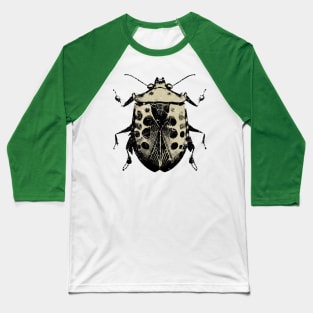 Stink Bug Insect Art Baseball T-Shirt